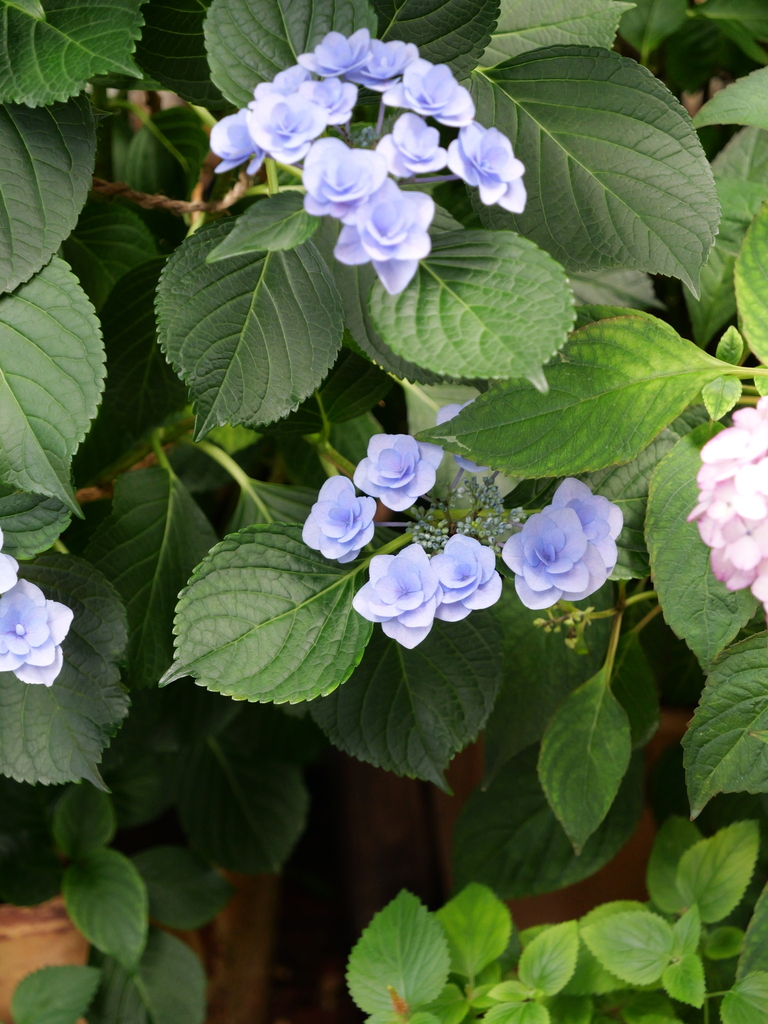 2025-06-07 09_04№(0599).JPG
