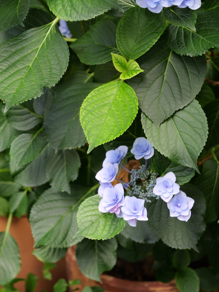 2025-06-07 09_04№(0600).JPG