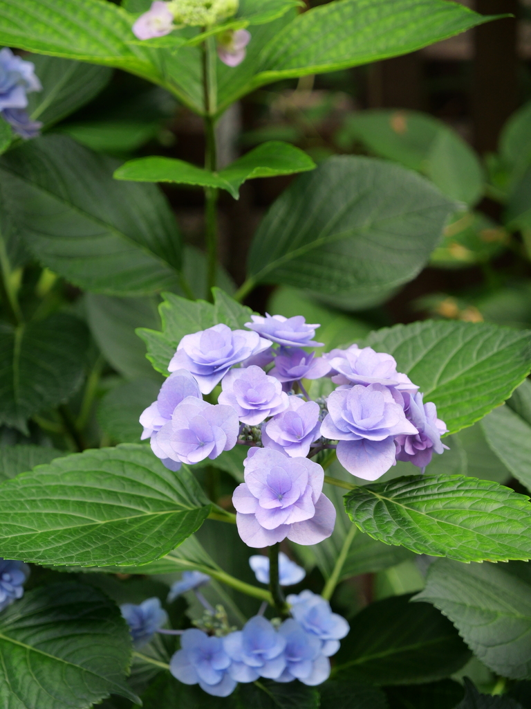 2025-06-07 09_04№(0601).JPG