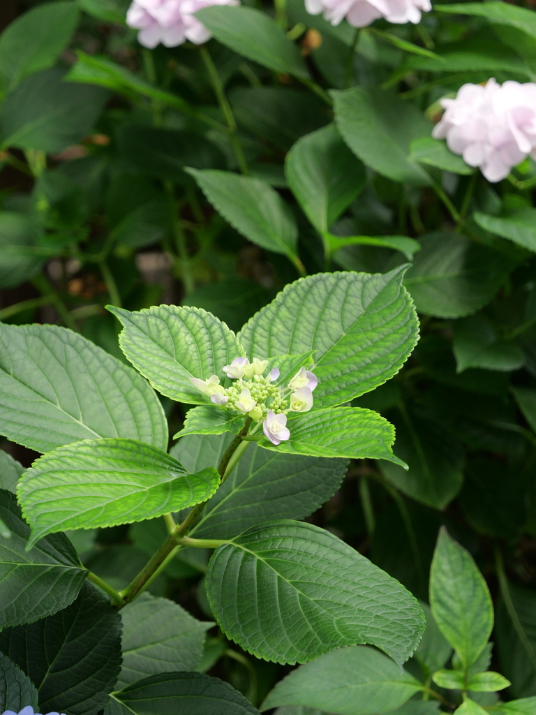 2025-06-07 09_04№(0602).JPG