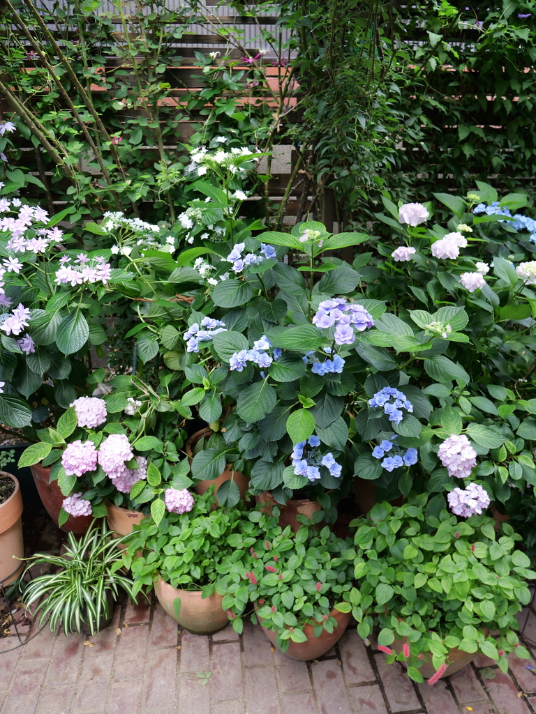 2025-06-07 09_04№(0605).JPG