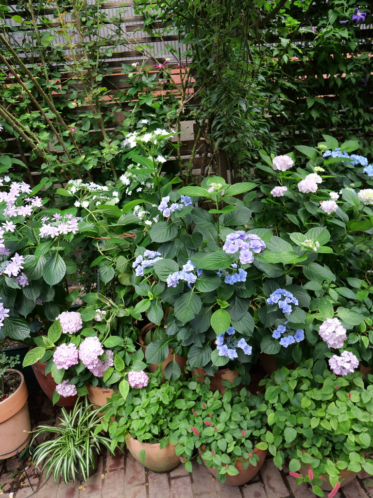 2025-06-07 09_04№(0606).JPG