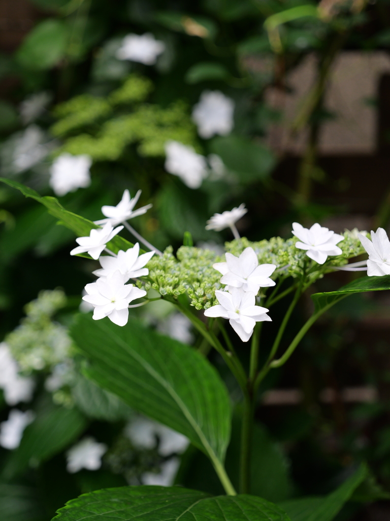 2025-06-07 09_04№(0610).JPG