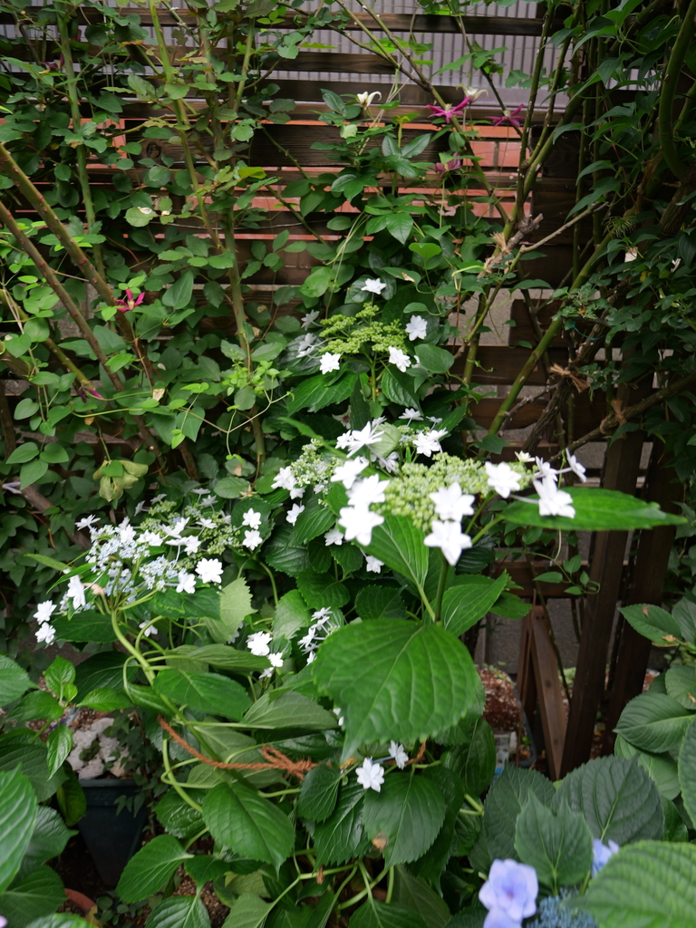 2025-06-07 09_04№(0619).JPG