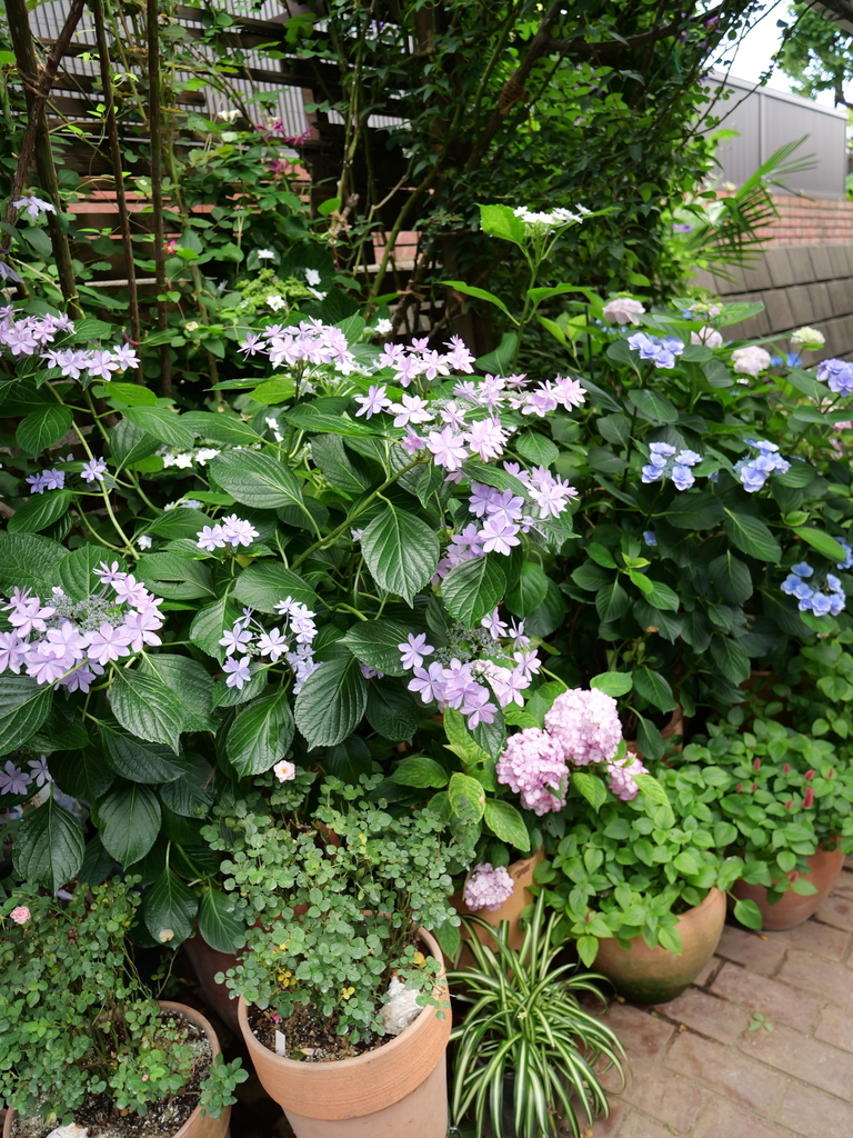 2025-06-07 09_05№(0622).JPG