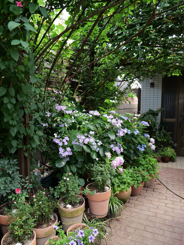2025-06-07 09_05№(0632).JPG