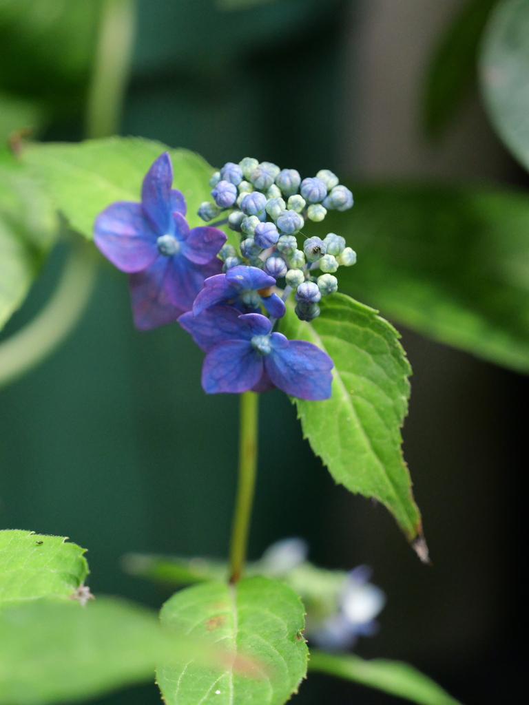 2025-06-07 09_07№(0691).JPG