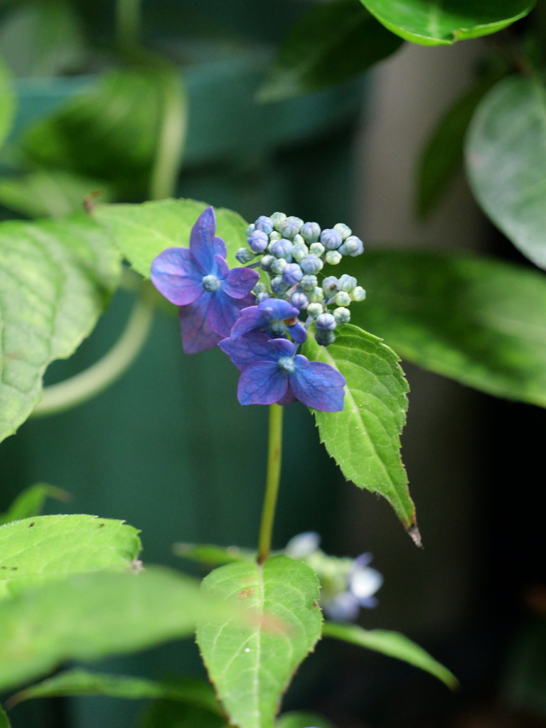 2025-06-07 09_07№(0692).JPG