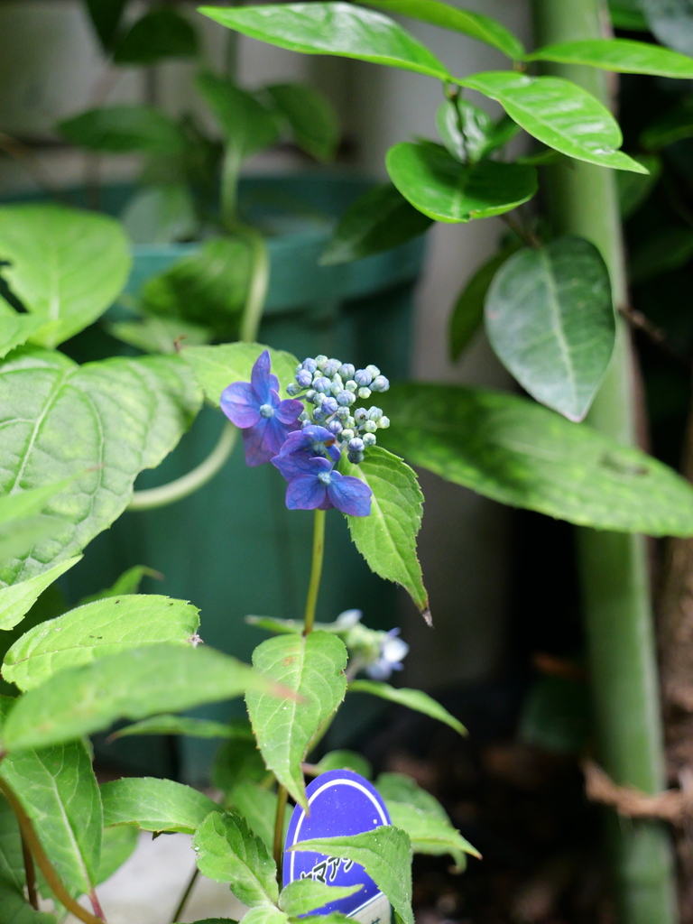 2025-06-07 09_07№(0693).JPG