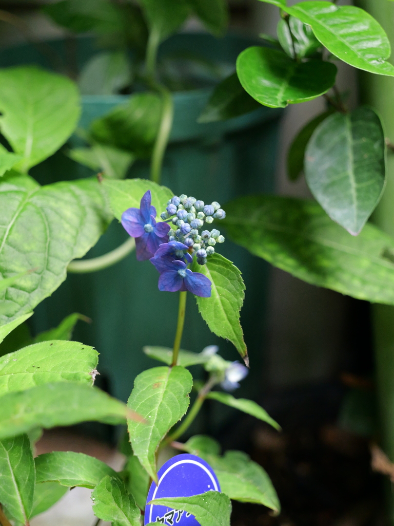 2025-06-07 09_07№(0695).JPG