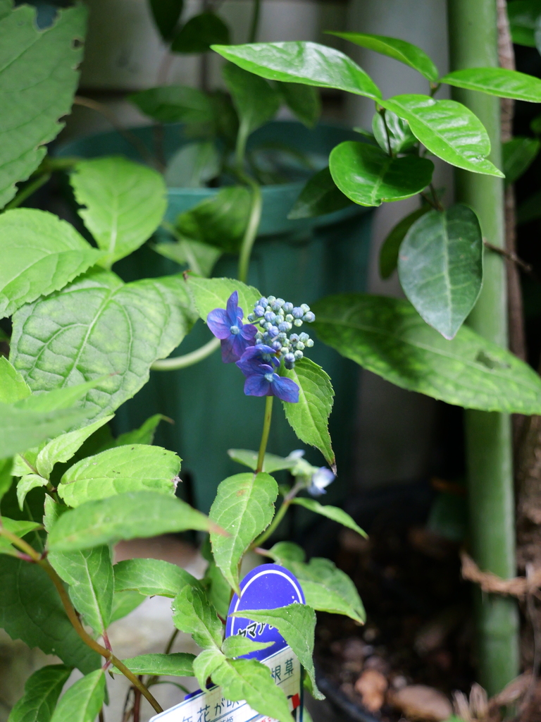 2025-06-07 09_07№(0696).JPG