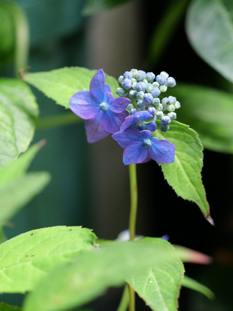 2025-06-07 09_07№(0698).JPG