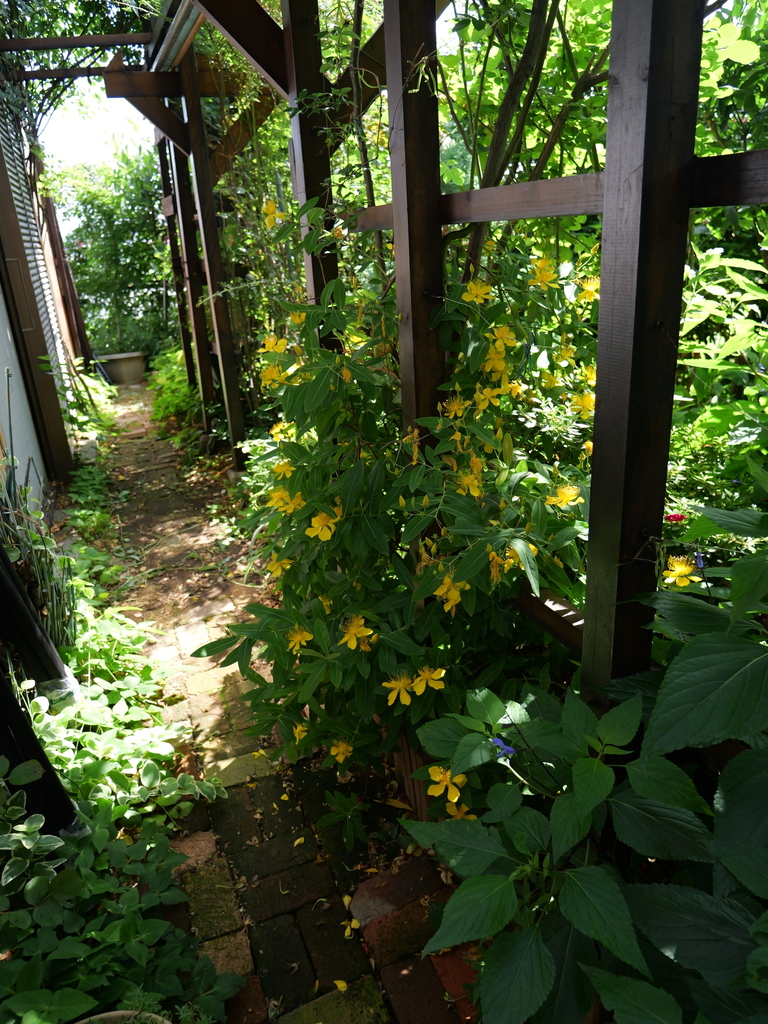 2025-06-07 09_12№(0858).JPG