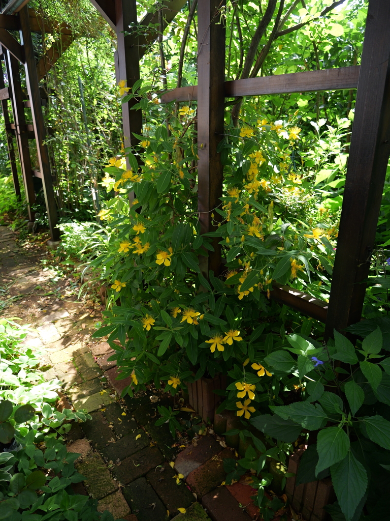 2025-06-07 09_12№(0862).JPG