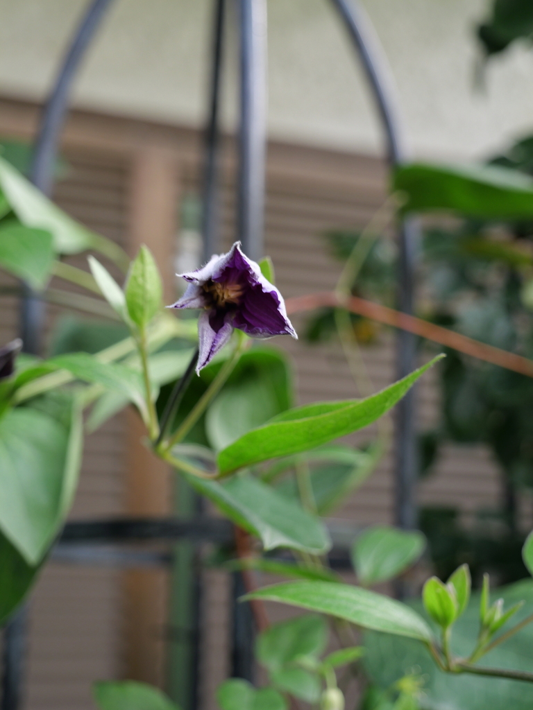 2025-06-12 07_58№(0120).JPG