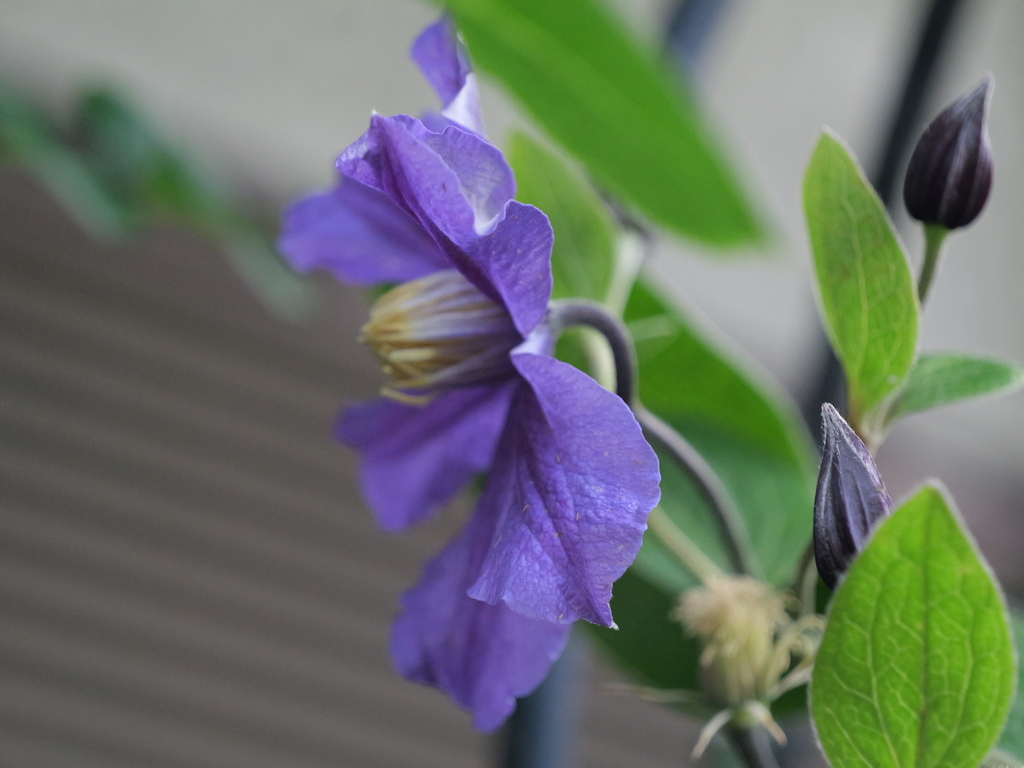2025-06-12 08_12№(0241).JPG