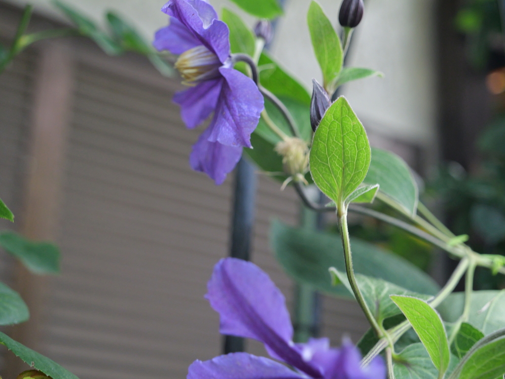 2025-06-12 08_12№(0242).JPG