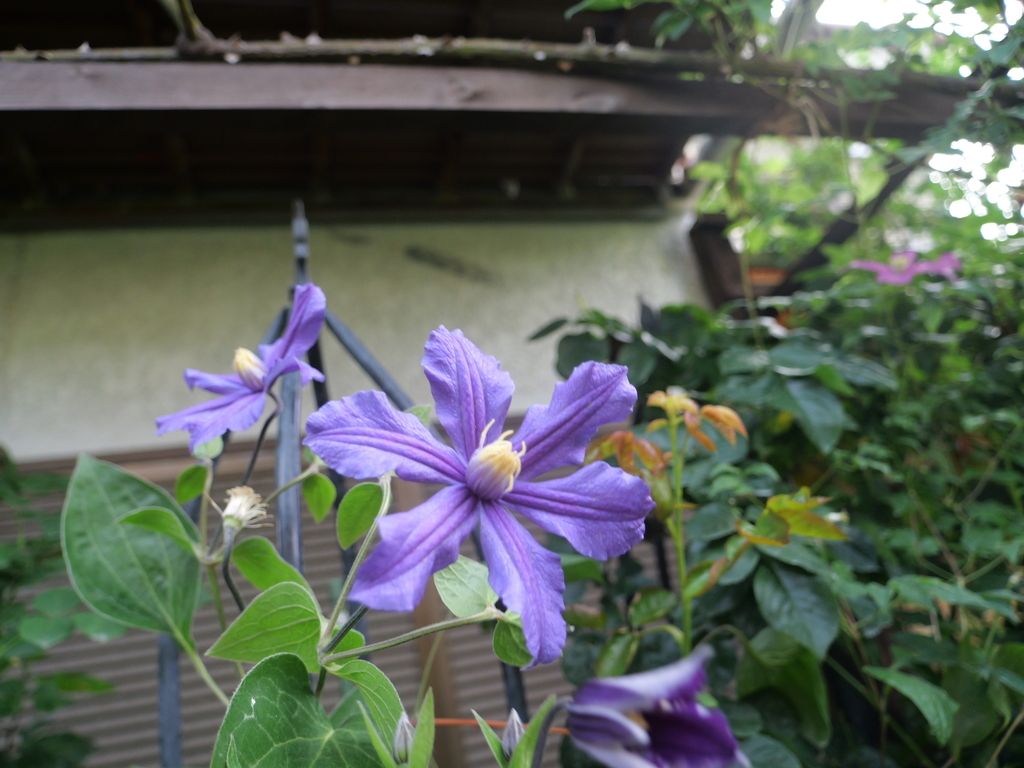 2025-06-12 08_13№(0245).JPG