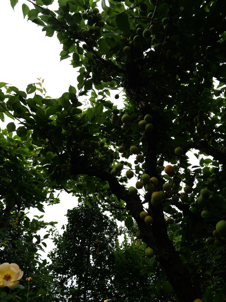 2025-06-14 11_42№(0047).JPG