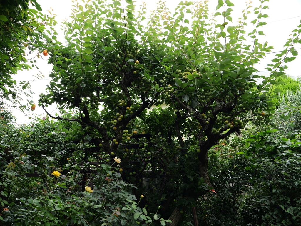2025-06-14 11_44№(0112).JPG
