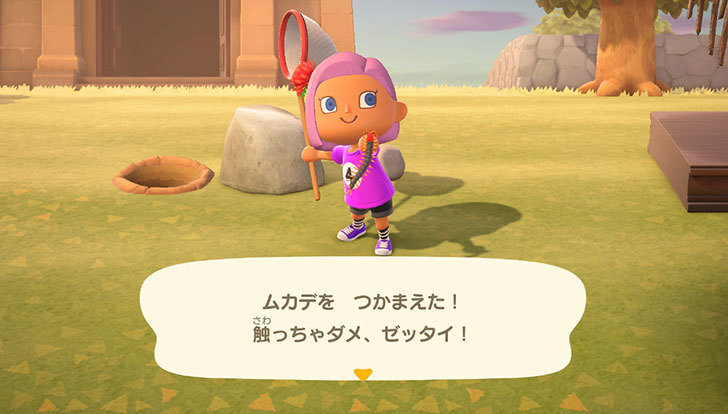 あつまれ-どうぶつの森5-3.jpg