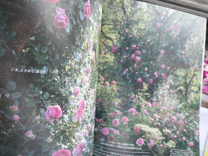 ガーデンダイアリー バラと暮らす幸せ Vol16を買った。2021年-003.jpg