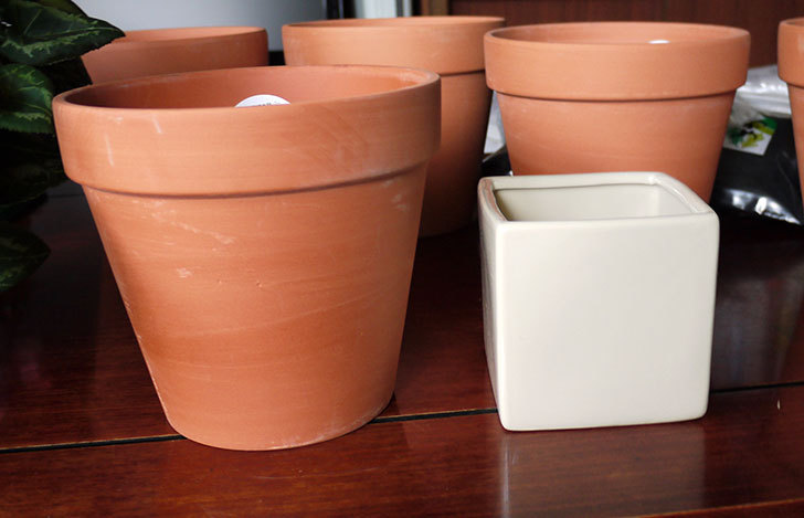 ダイソーでD-陶磁器植木鉢-54を5個買って来た7.jpg