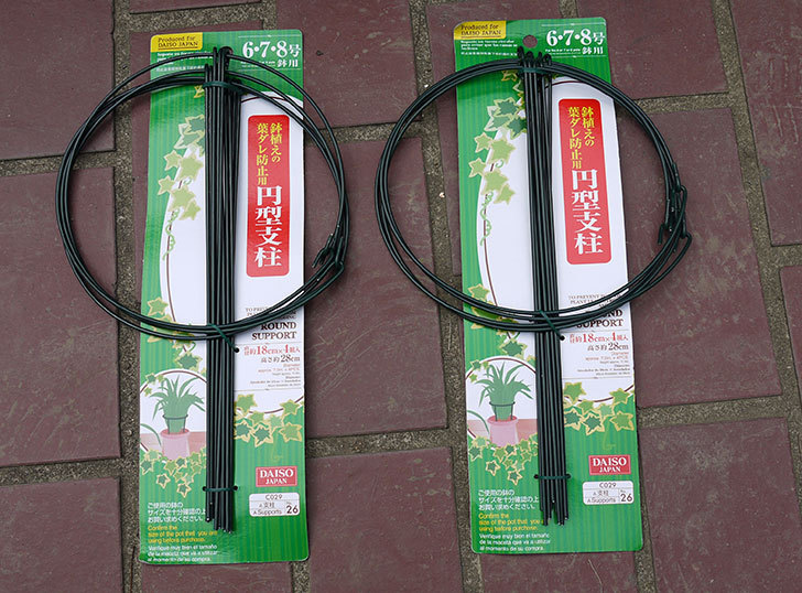 ダイソーで鉢植えの葉ダレ防止用円型支柱-6、7、8号用-高さ28cmを買って来た1.jpg