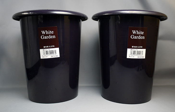 ダイソーでWhite Garden 植木鉢 6.3TRを2個買って来た。植木鉢。100均 