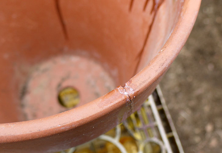 ダイソーの木工陶磁器用-強力瞬間接着剤で植木鉢のヒビを修理した10.jpg
