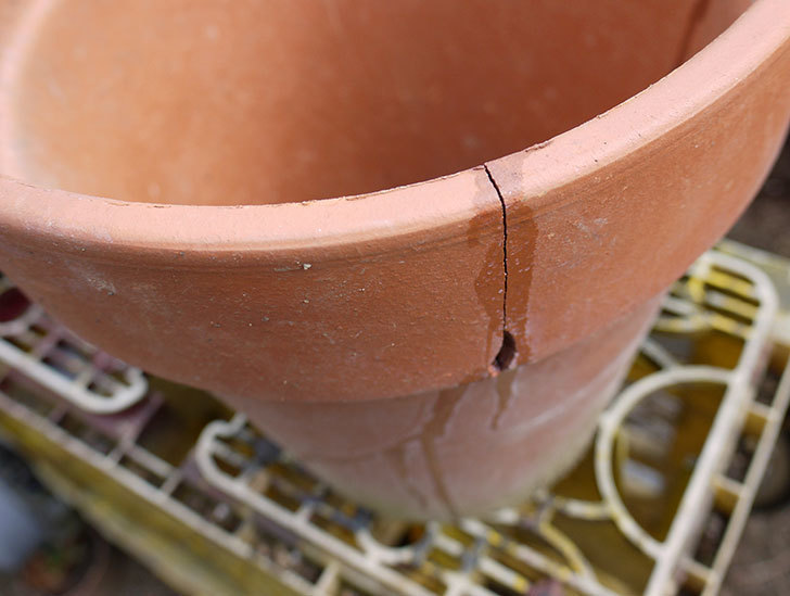 ダイソーの木工陶磁器用-強力瞬間接着剤で植木鉢のヒビを修理した3.jpg