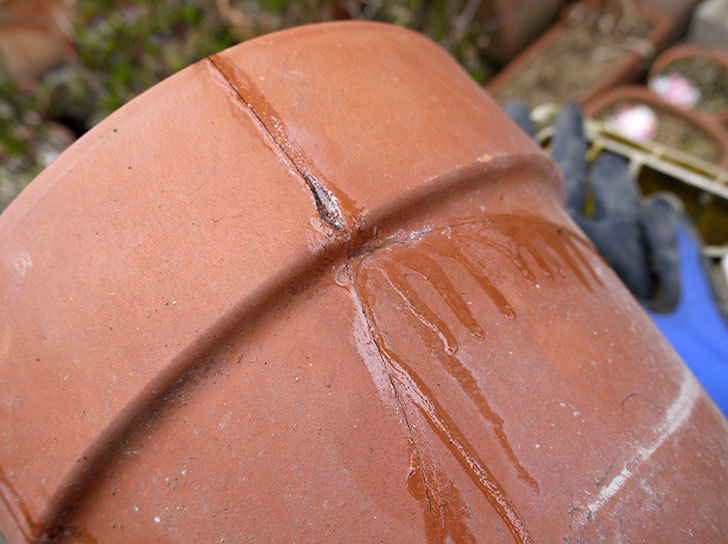 ダイソーの木工陶磁器用-強力瞬間接着剤で植木鉢のヒビを修理した8.jpg