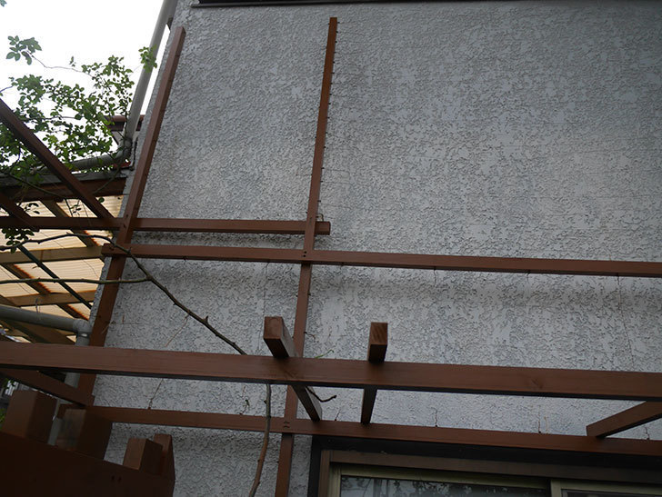 ツルバラの誘引を解いてパーゴラと物干し台に木部保護塗料を塗った（2）。2019年-3.jpg