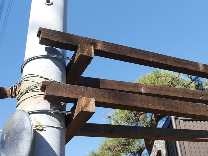 ツルバラ用の木材フェンスの補強(1)。入り口側の補強。2021年-013.jpg