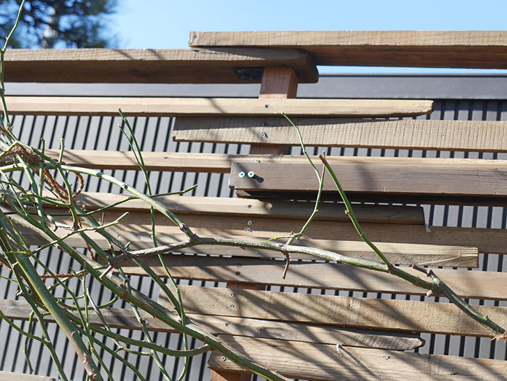 ツルバラ用の木材フェンスの補強(2)。玄関側の補強。2021年-002.jpg