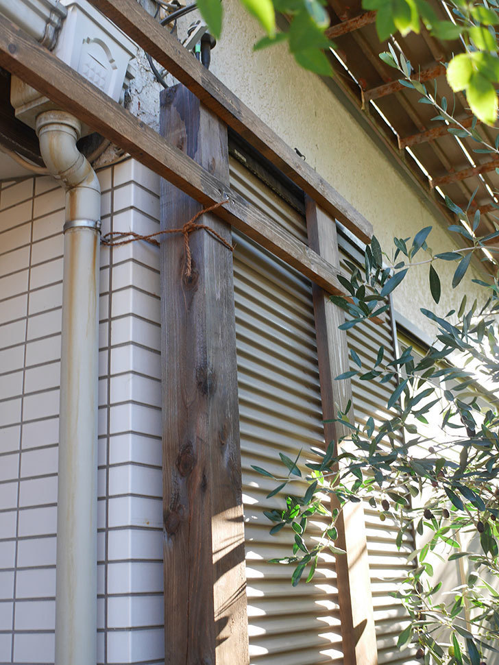ツルバラ用の木材フェンスの補強(2)。玄関側の補強。2021年-019.jpg