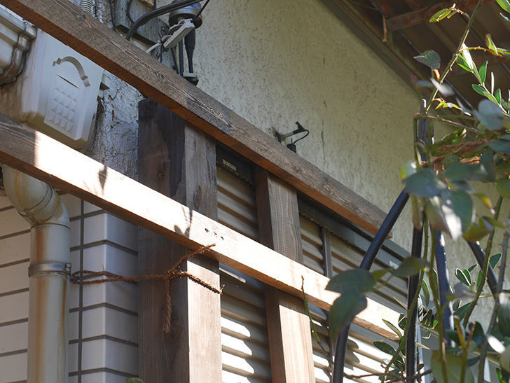 ツルバラ用の木材フェンスの補強(2)。玄関側の補強。2021年-021.jpg