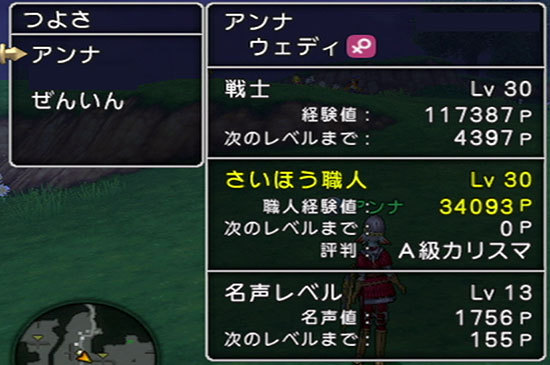 ドラゴンクエストX、プレイ中99-2.jpg