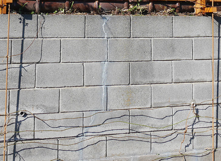 ブロック塀のひび割れの補修跡を塗装した。2020年-1.jpg