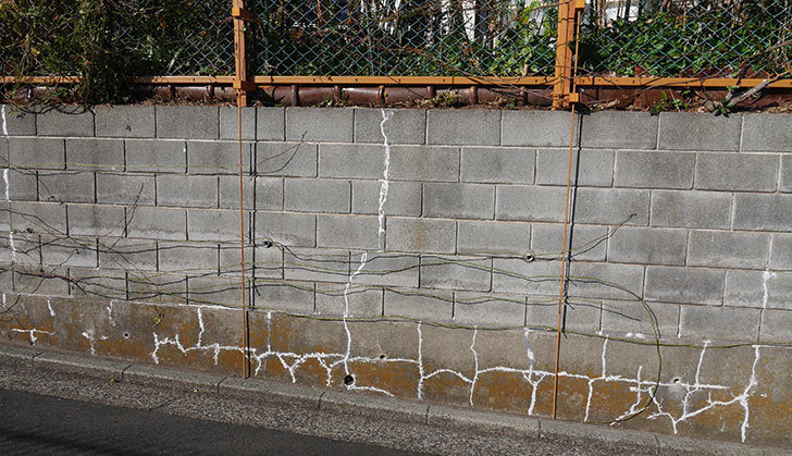 ブロック塀のひび割れの補修跡を塗装した。2020年-3.jpg