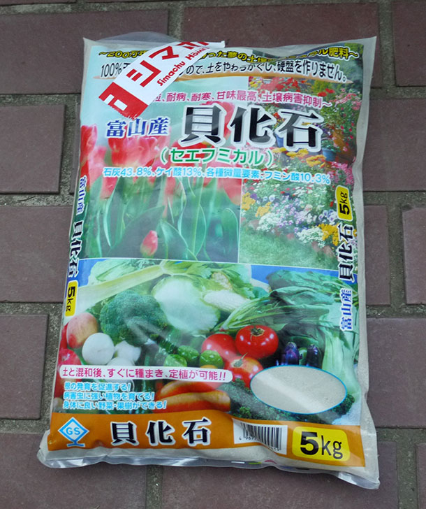 ホームズで富山産 貝化石 5kgを買ってきた 肥料 02memo日記