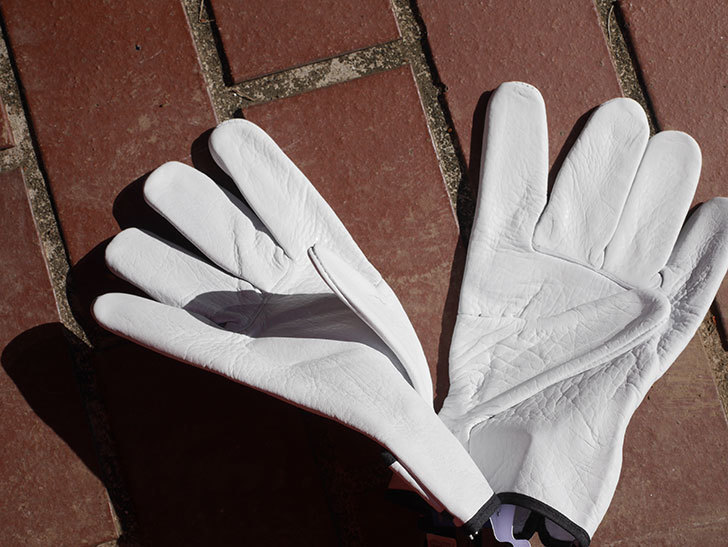 ワークマンでツルバラの誘引用に牛本革手袋 WG-701を買ってきた。2021年-015.jpg
