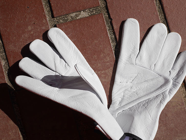 ワークマンでツルバラの誘引用に牛本革手袋 WG-701を買ってきた。2021年-016.jpg
