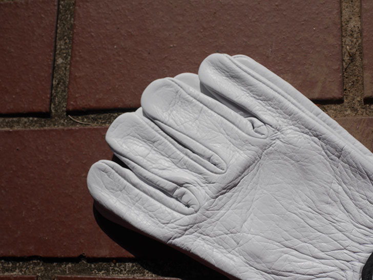 ワークマンでツルバラの誘引用に牛本革手袋 WG-701を買ってきた。2021年-017.jpg