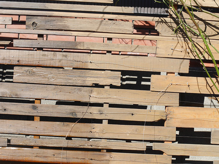 木製フェンスに木材防腐剤を塗った。2021年-015.jpg