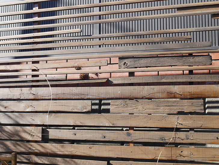 木製フェンスに木材防腐剤を塗った。2021年-021.jpg