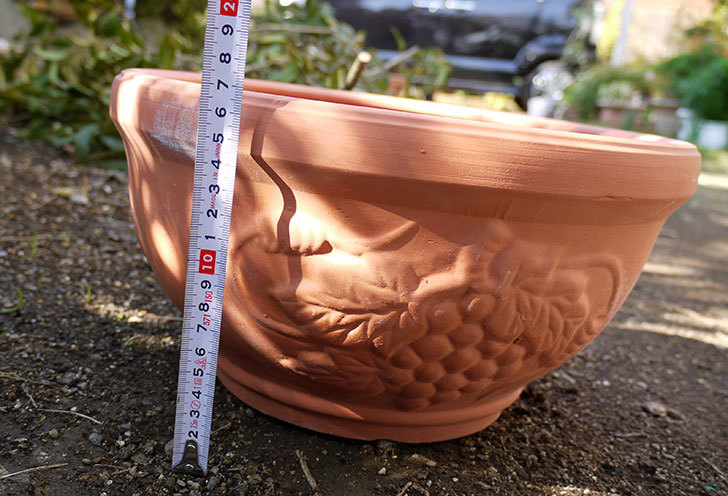 素焼き鉢-ぶどう柄の直径31cmと39cmの植木鉢をケイヨーデイツーで買って来た11.jpg
