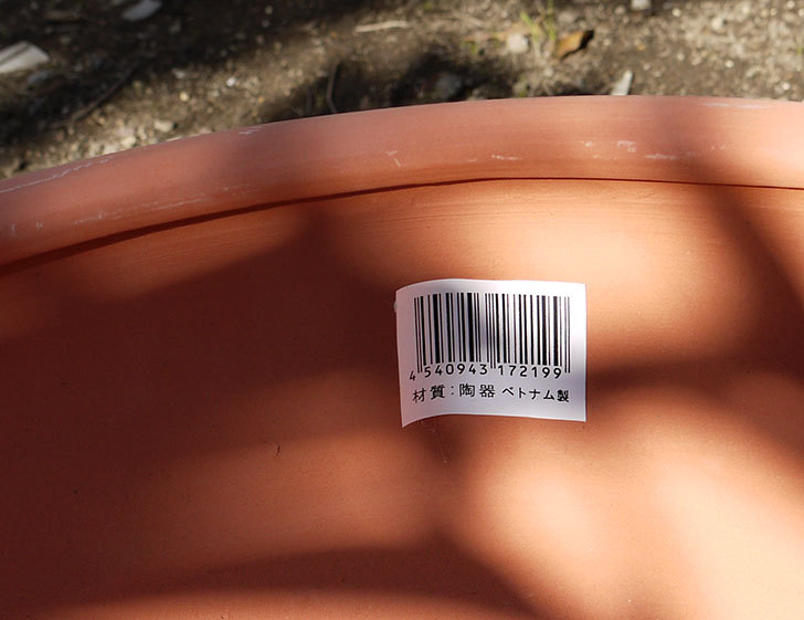 素焼き鉢-ぶどう柄の直径31cmと39cmの植木鉢をケイヨーデイツーで買って来た5.jpg