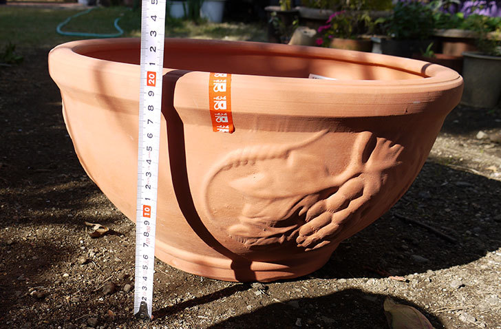 素焼き鉢-ぶどう柄の直径31cmと39cmの植木鉢をケイヨーデイツーで買って来た7.jpg