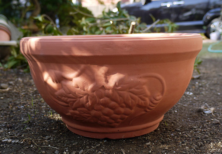 素焼き鉢-ぶどう柄の直径31cmと39cmの植木鉢をケイヨーデイツーで買って来た8.jpg